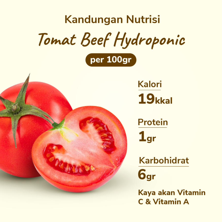 Tomat Beef Hydroponic Astro Farm 1kg