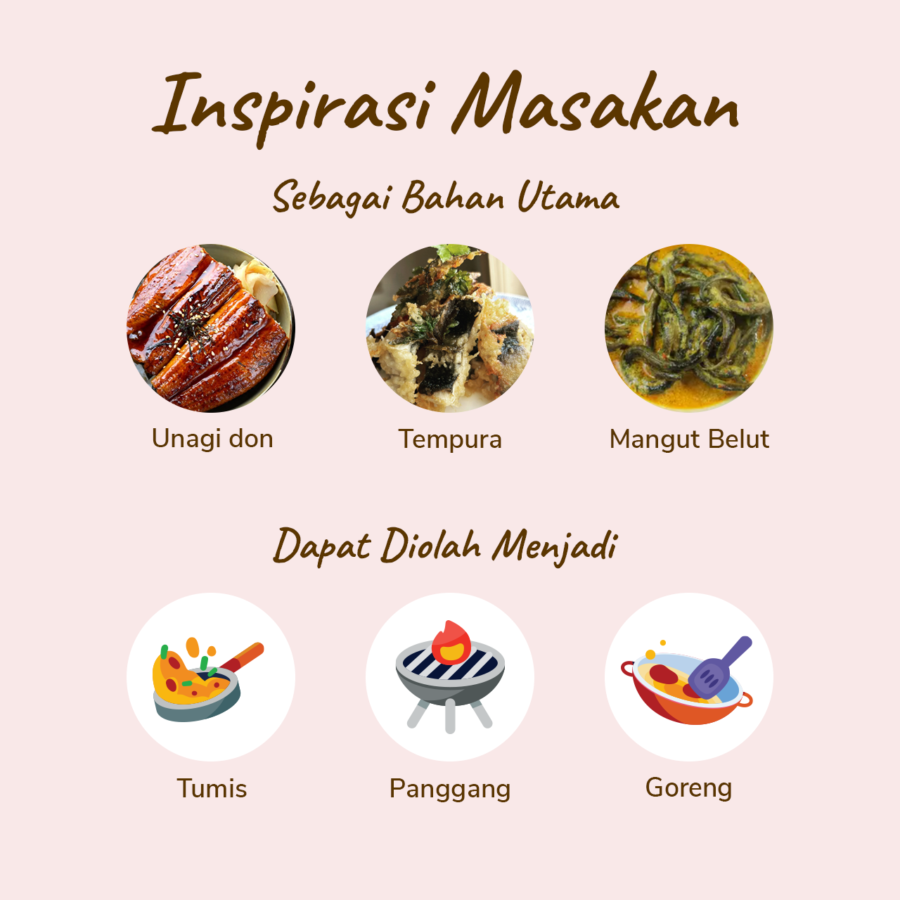 Belut Tanpa Kepala 300-350gram