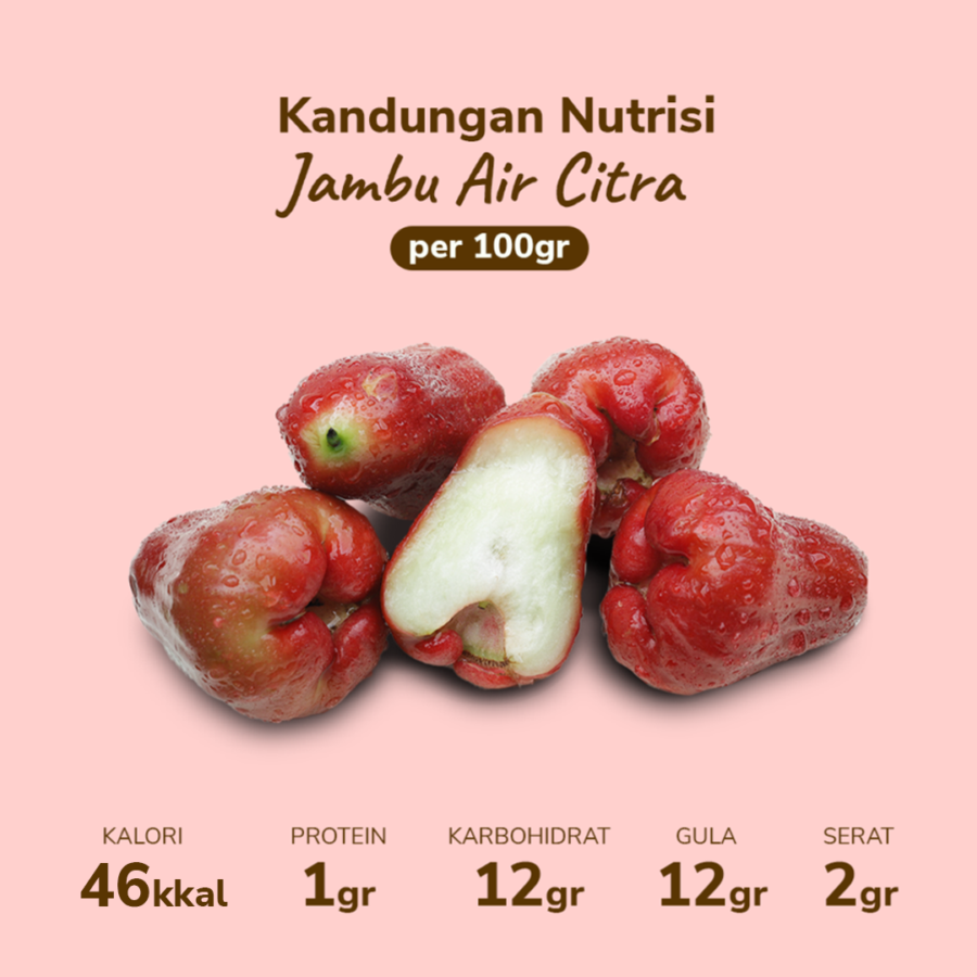 Jambu Air Citra Astro Farm 4-7 pcs 400-500 gram