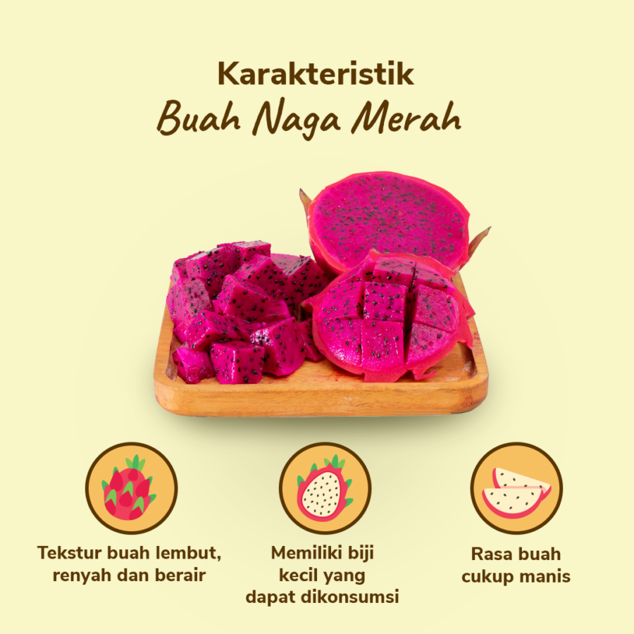 Buah Naga Merah Astro Farm 1kg
