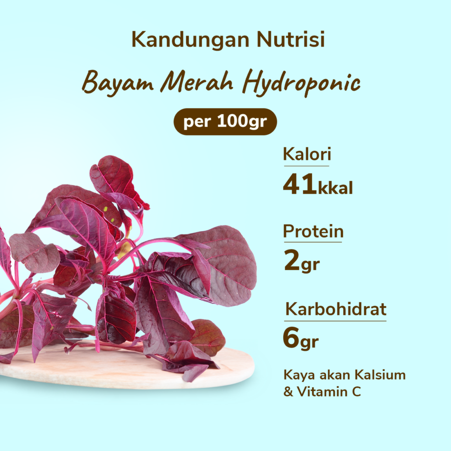 Bayam Merah Hydroponic Astro Farm 200gram