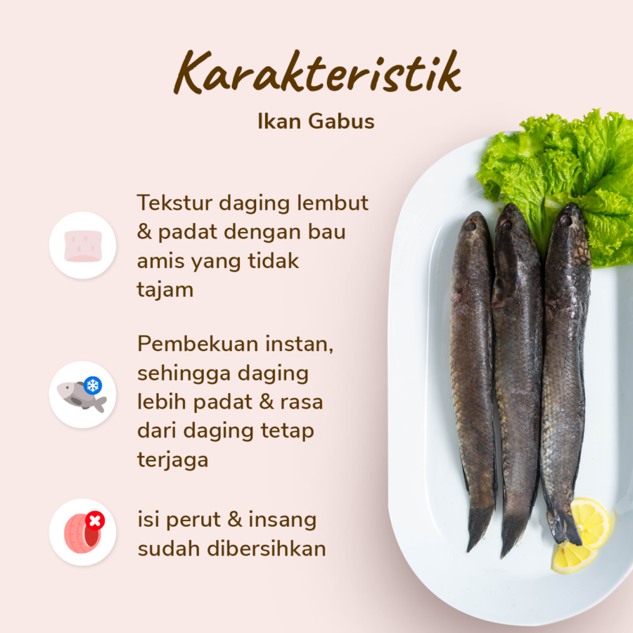 Ikan Gabus Air Tawar 500-600gram