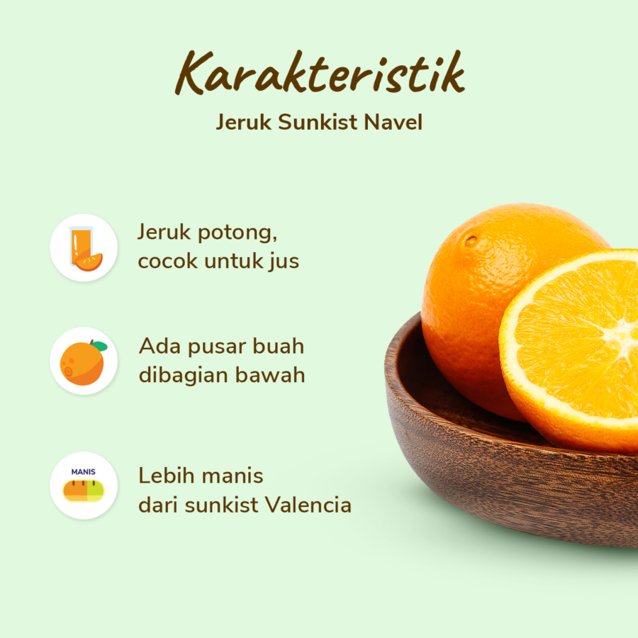 Jeruk Sunkist Navel Seedless Astro Farm 2-3 pcs 460-500 gram