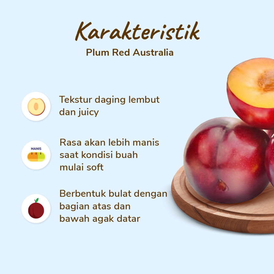 Plum Red Australia Astro Farm 5-8 pcs 490-540gram