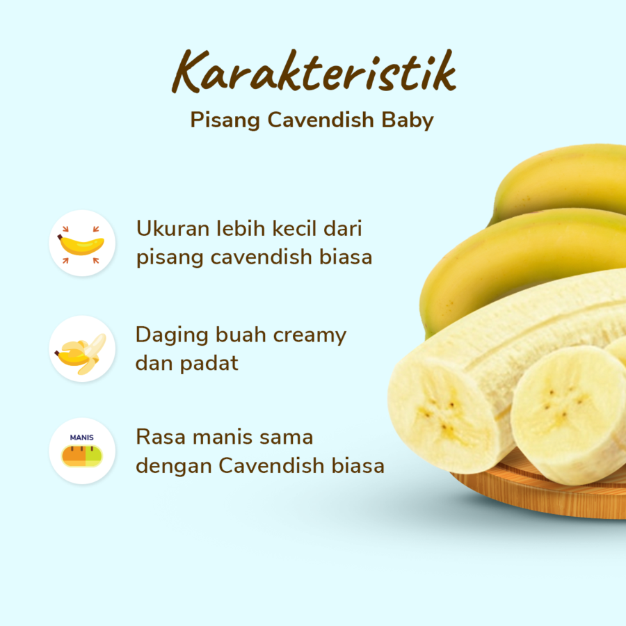 Pisang Cavendish Baby Astro Farm 5 pcs 330-510 gram