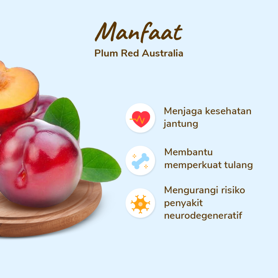 Plum Red Australia Astro Farm 5-8 pcs 490-540gram