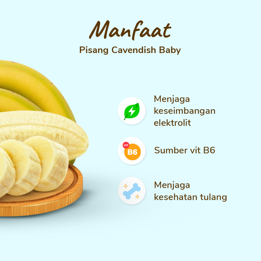 Pisang Cavendish Baby Astro Farm 5 pcs 330-510 gram
