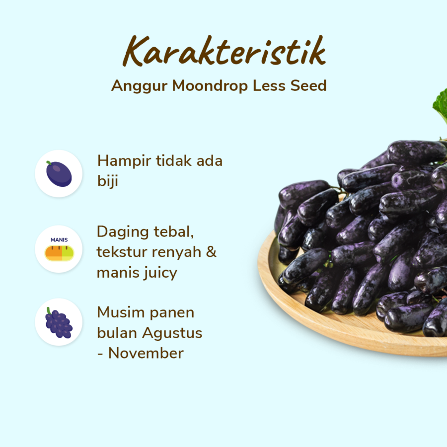 Anggur Moondrops Less Seed Astro Farm 500gram