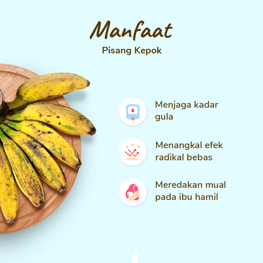 Pisang Kepok Kuning Astro Farm 450-600 gram