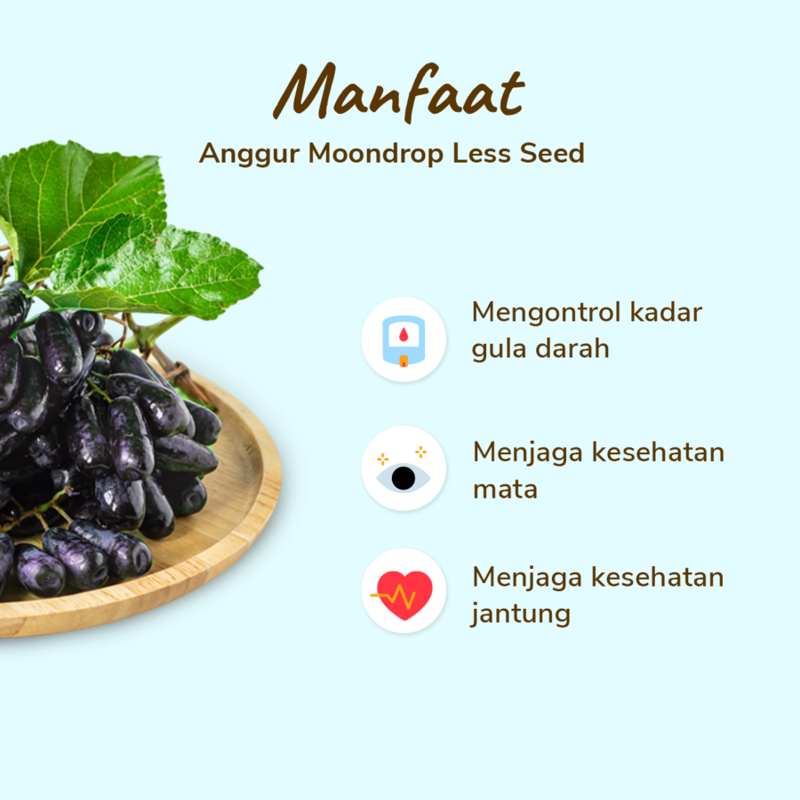 Anggur Moondrops Less Seed Astro Farm 500gram