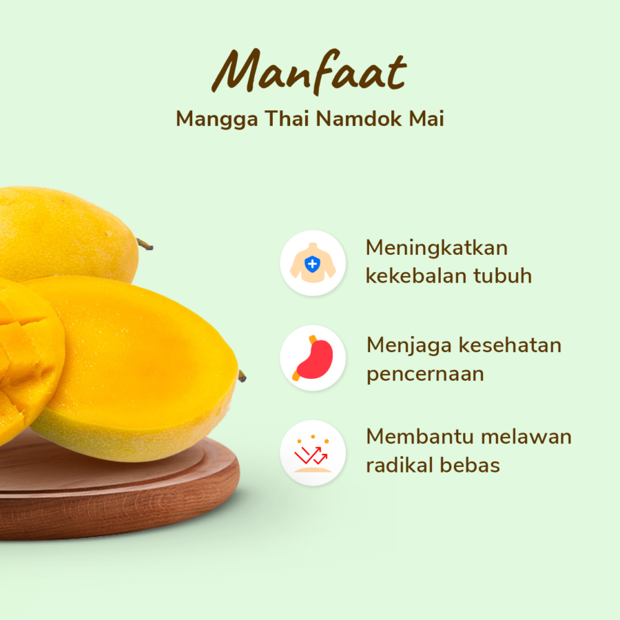 Mangga Thailand Astro Farm 2-3 pcs 1-1.1kg