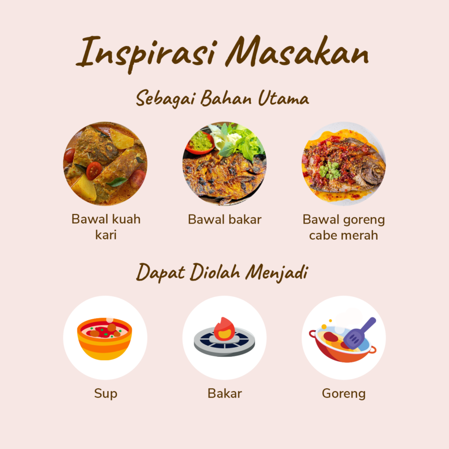 Ikan Bawal Tawar 480-520gram