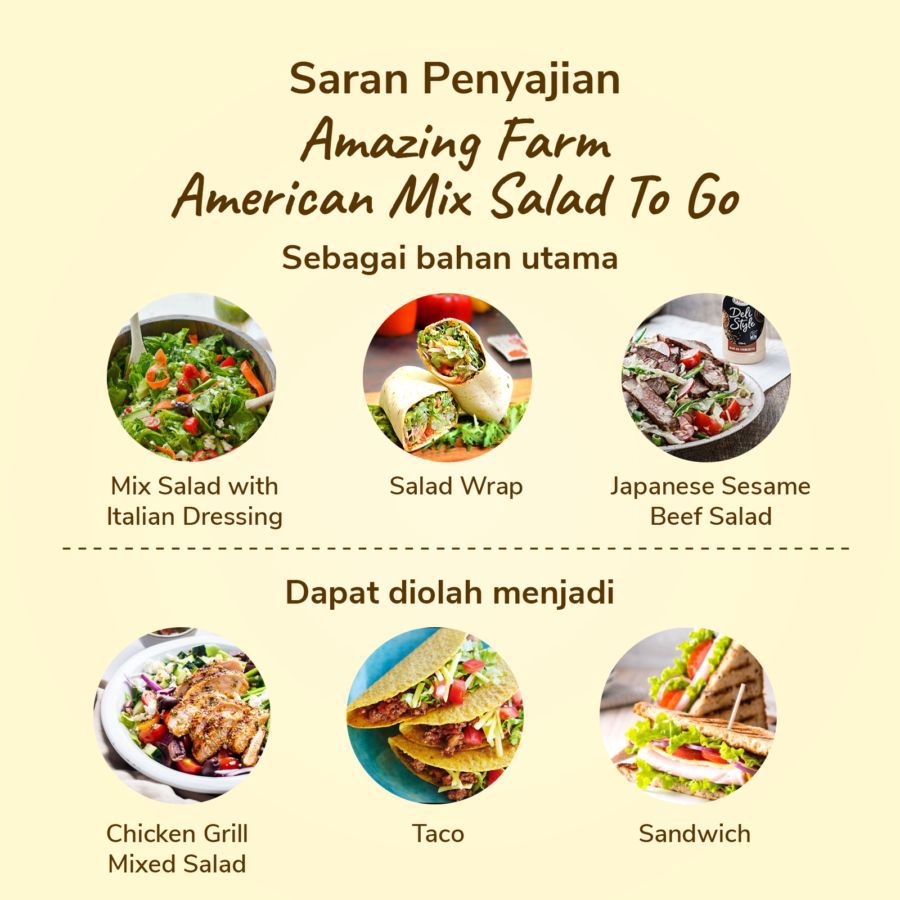 Amazing Farm American Mix Salad To Go 150gram