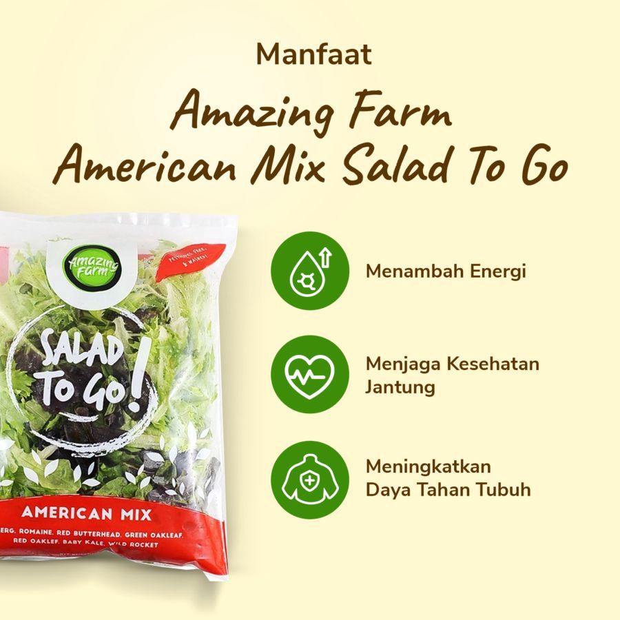 Amazing Farm American Mix Salad To Go 150gram