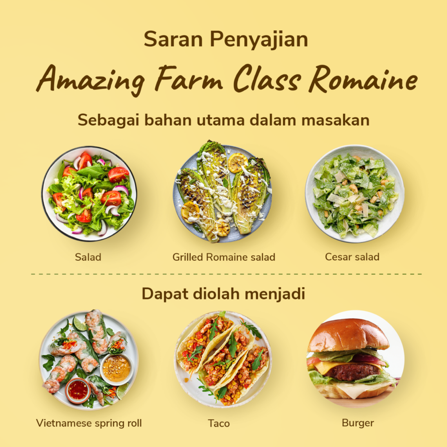 Amazing Farm Class Romaine Salad To Go 150gram