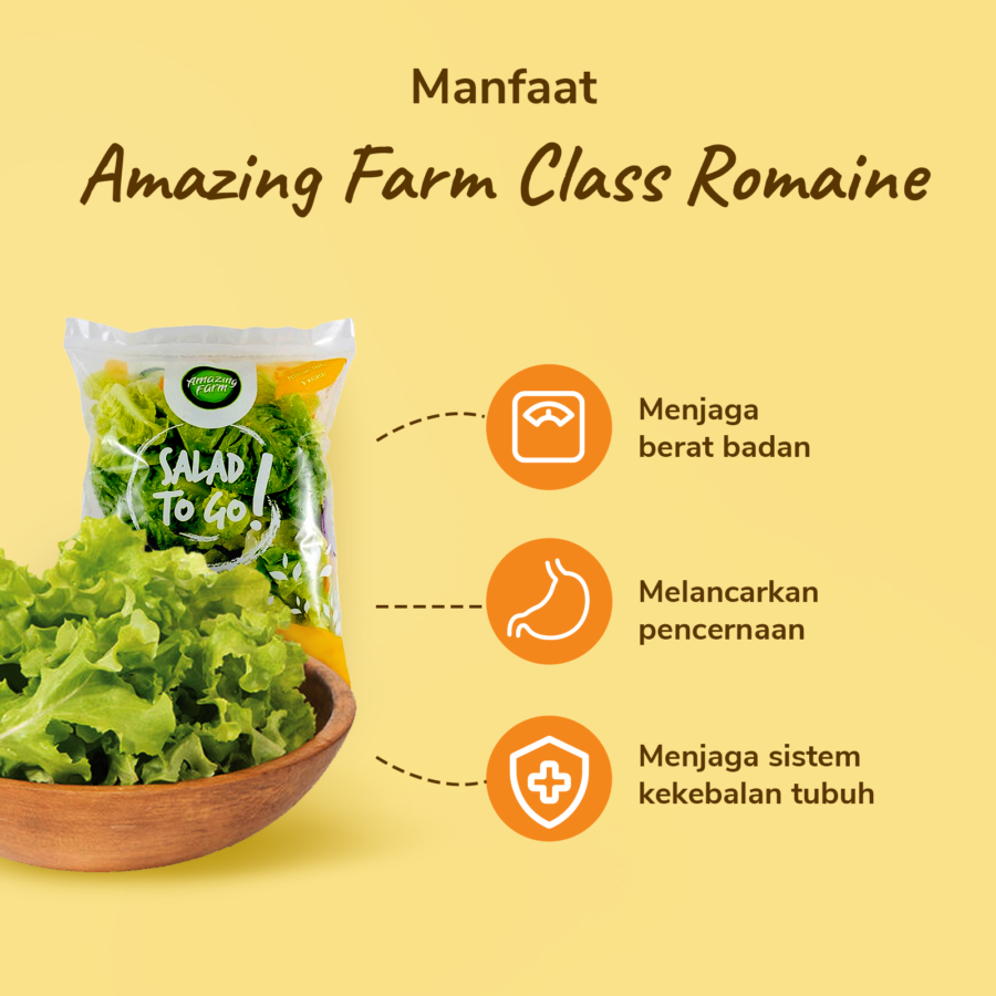 Amazing Farm Class Romaine Salad To Go 150gram