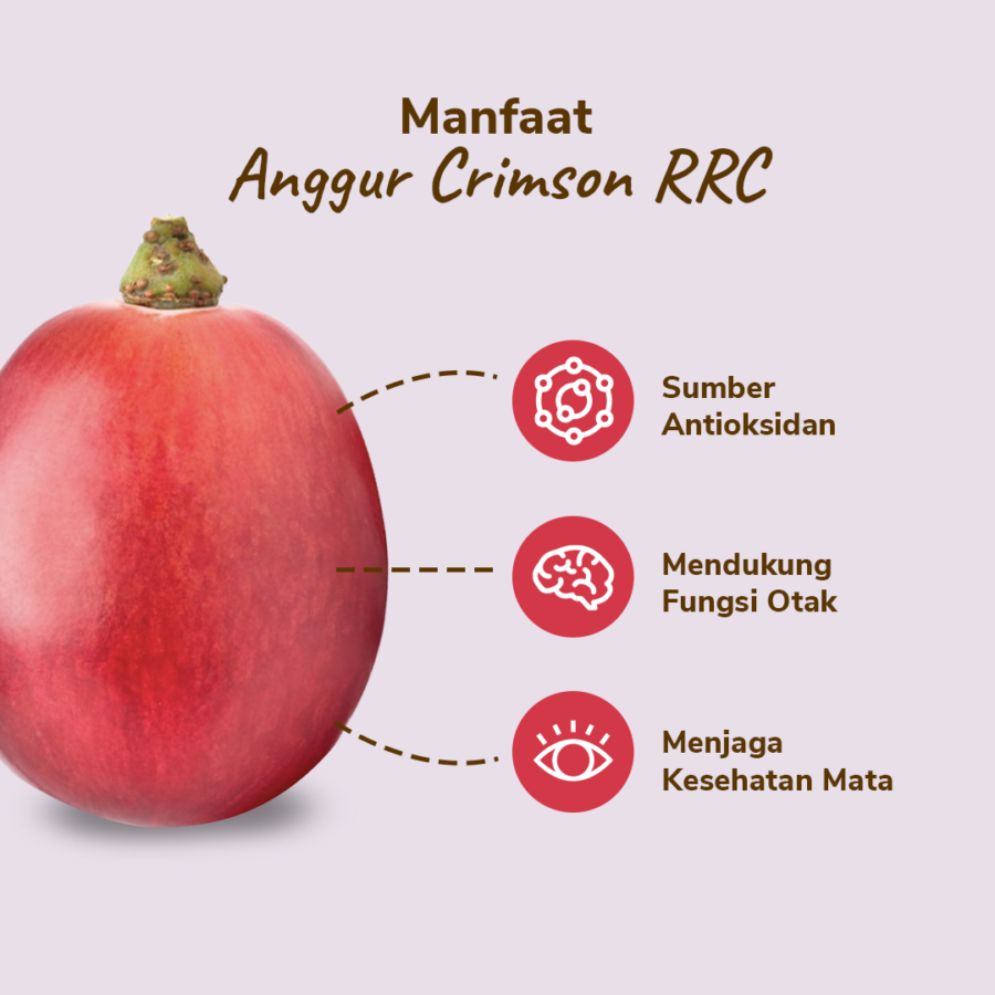 Anggur Crimson Less Seed Astro Farm 450- 500 gram