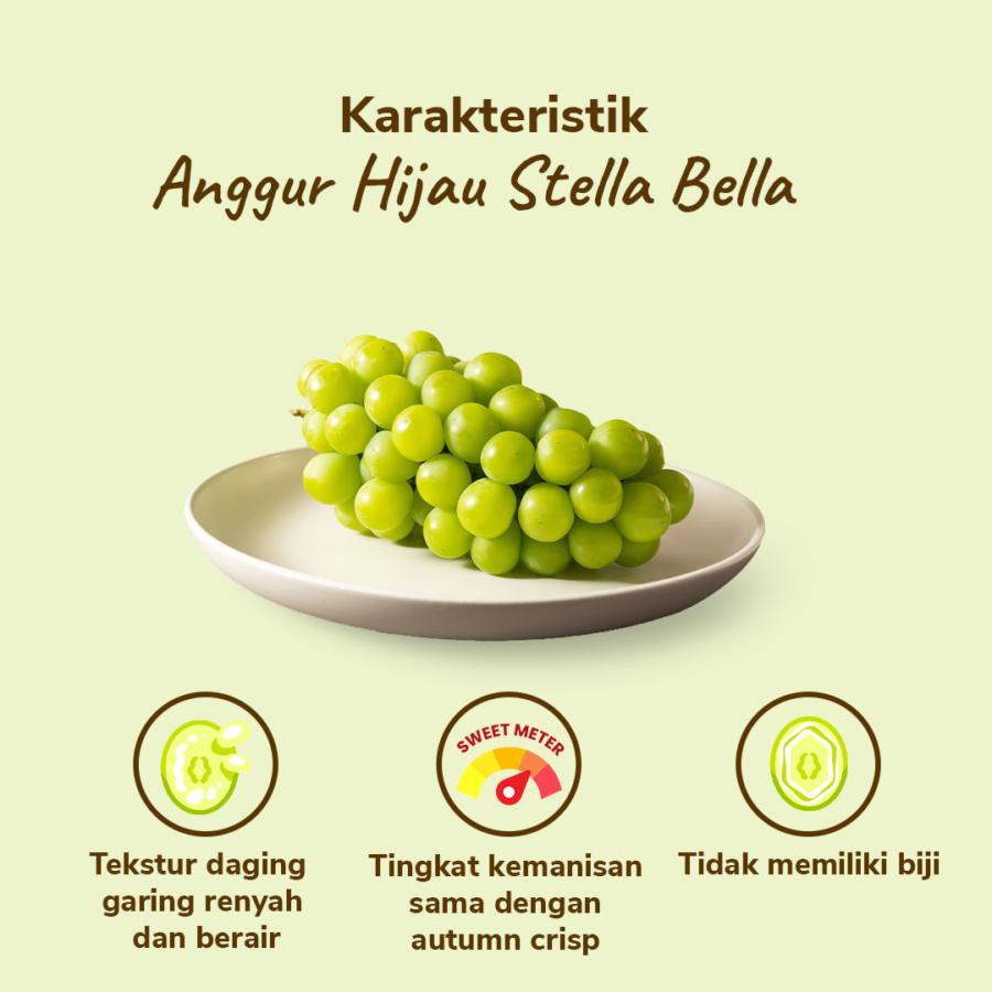 Anggur Hijau Stella Bella Seedless Astro Farm 450-500 gram