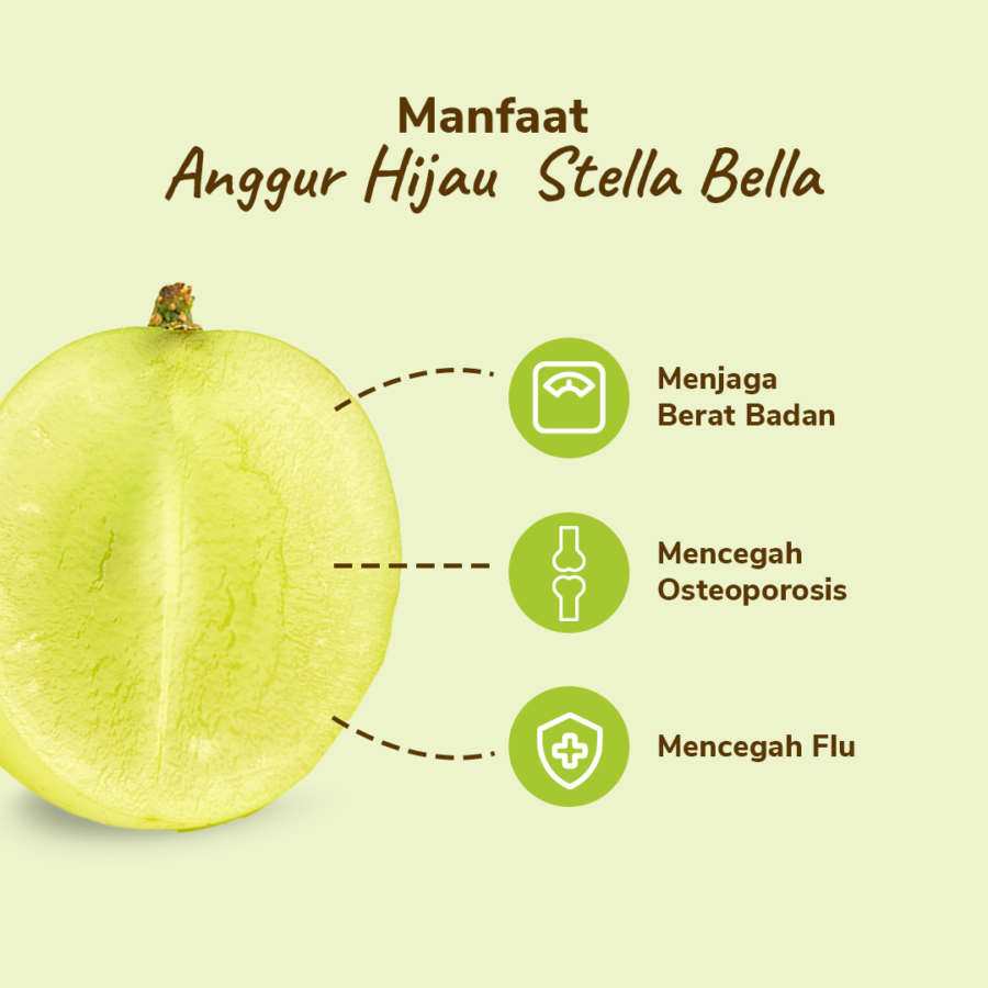 Anggur Hijau Stella Bella Seedless Astro Farm 450-500 gram