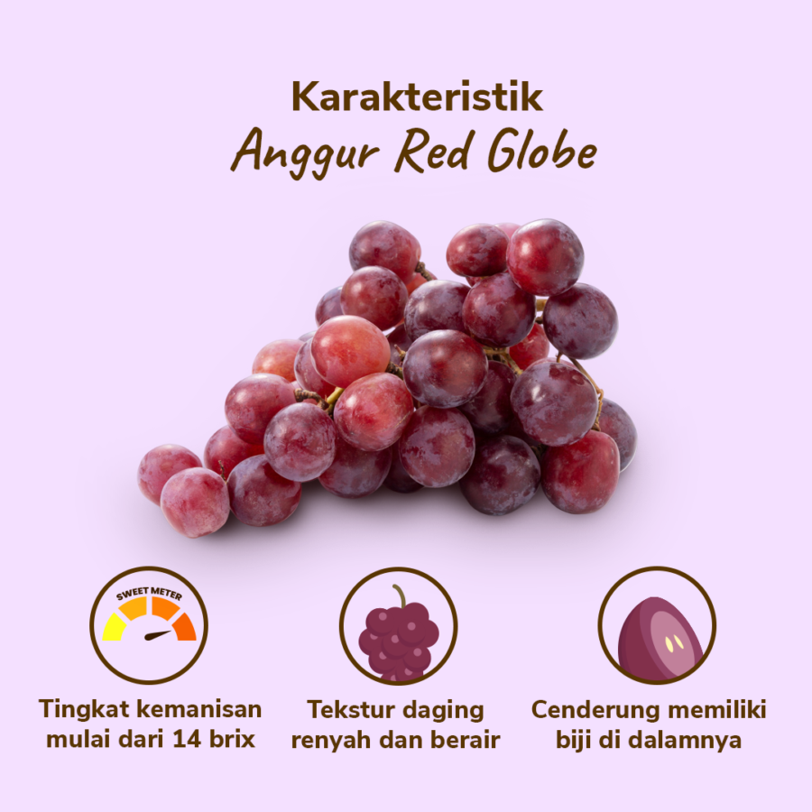 Anggur Red Globe Astro Farm 450-500 gram
