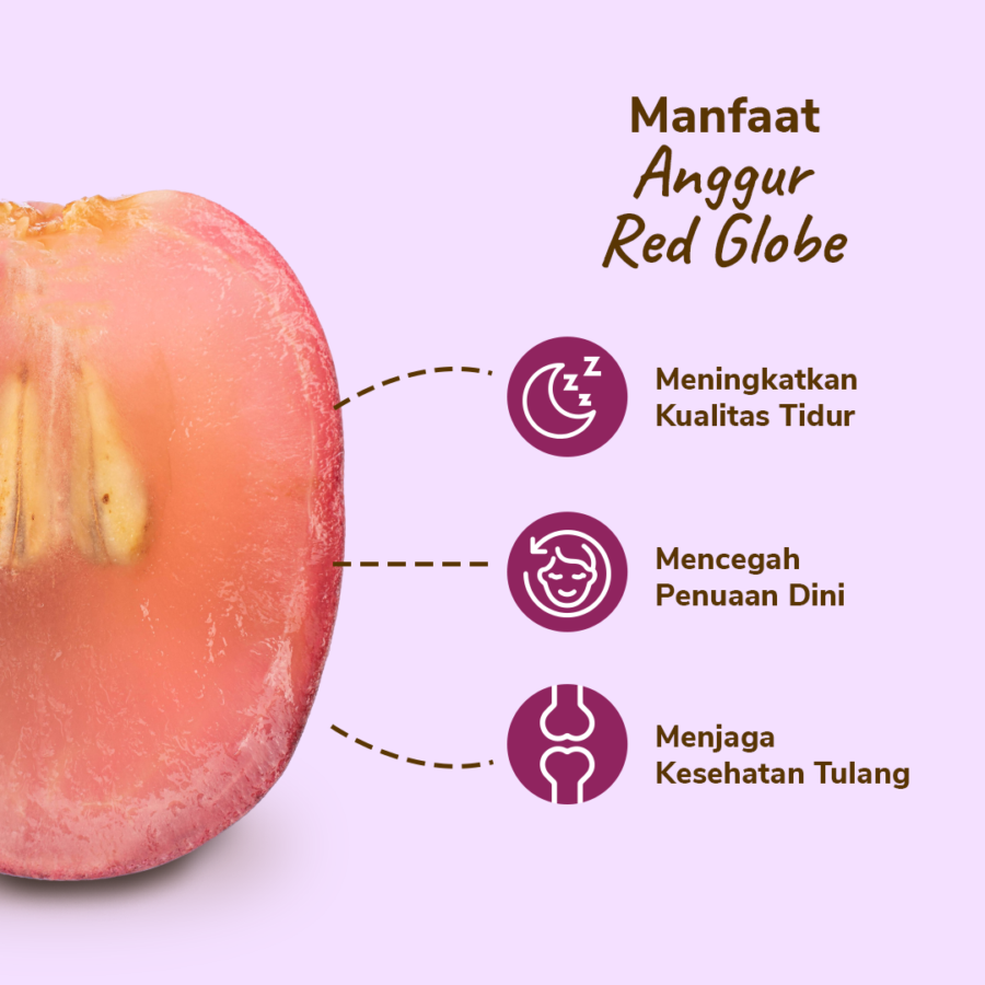 Anggur Red Globe Astro Farm 450-500 gram