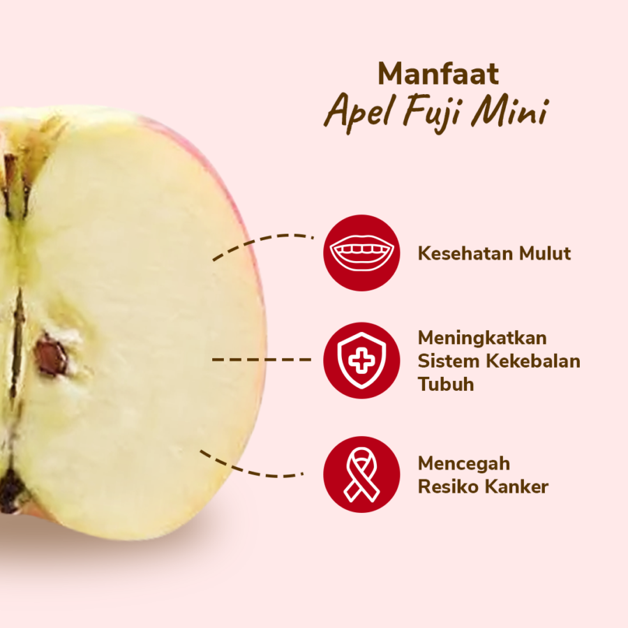Apel Fuji Mini Best Value - Astro Farm 1kg
