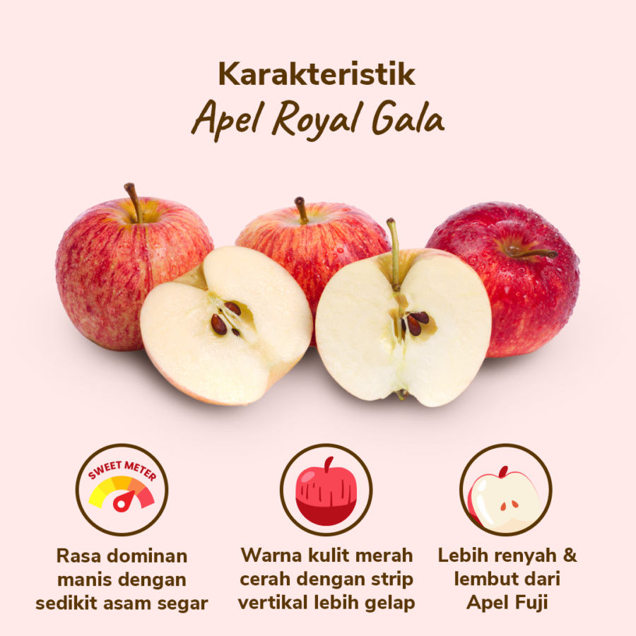 Apel Royal Gala Astro Farm 3-4 pcs 450-550 gram