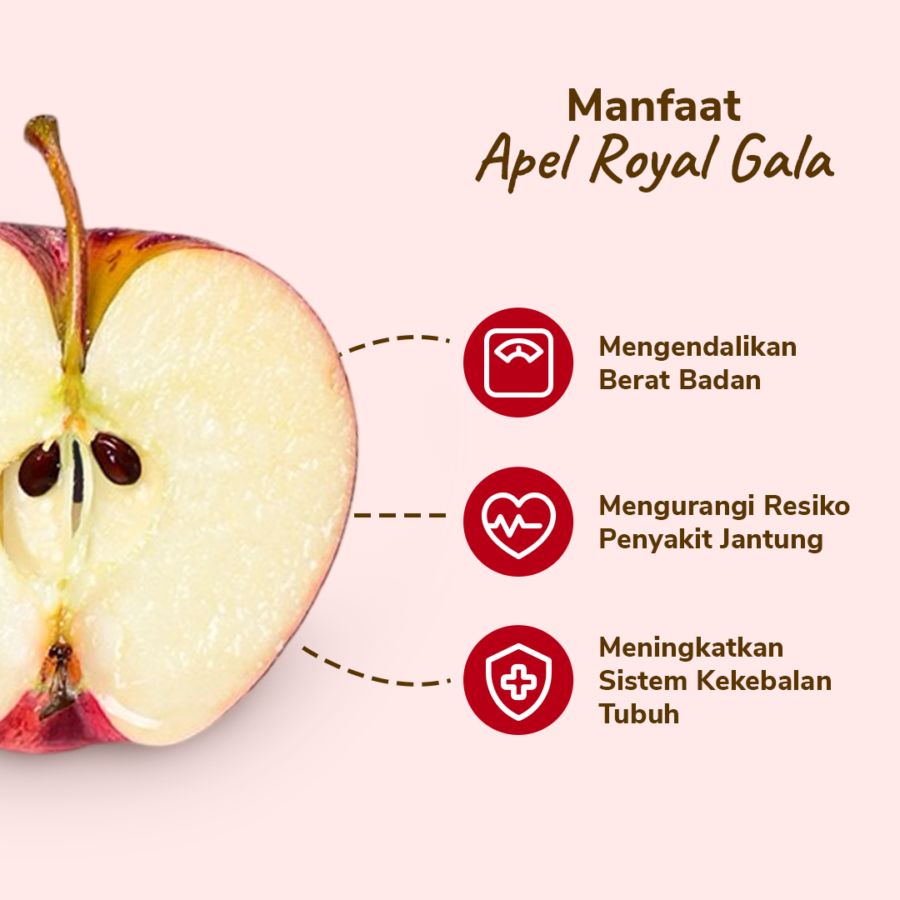 Apel Royal Gala Astro Farm 3-4 pcs 450-550 gram