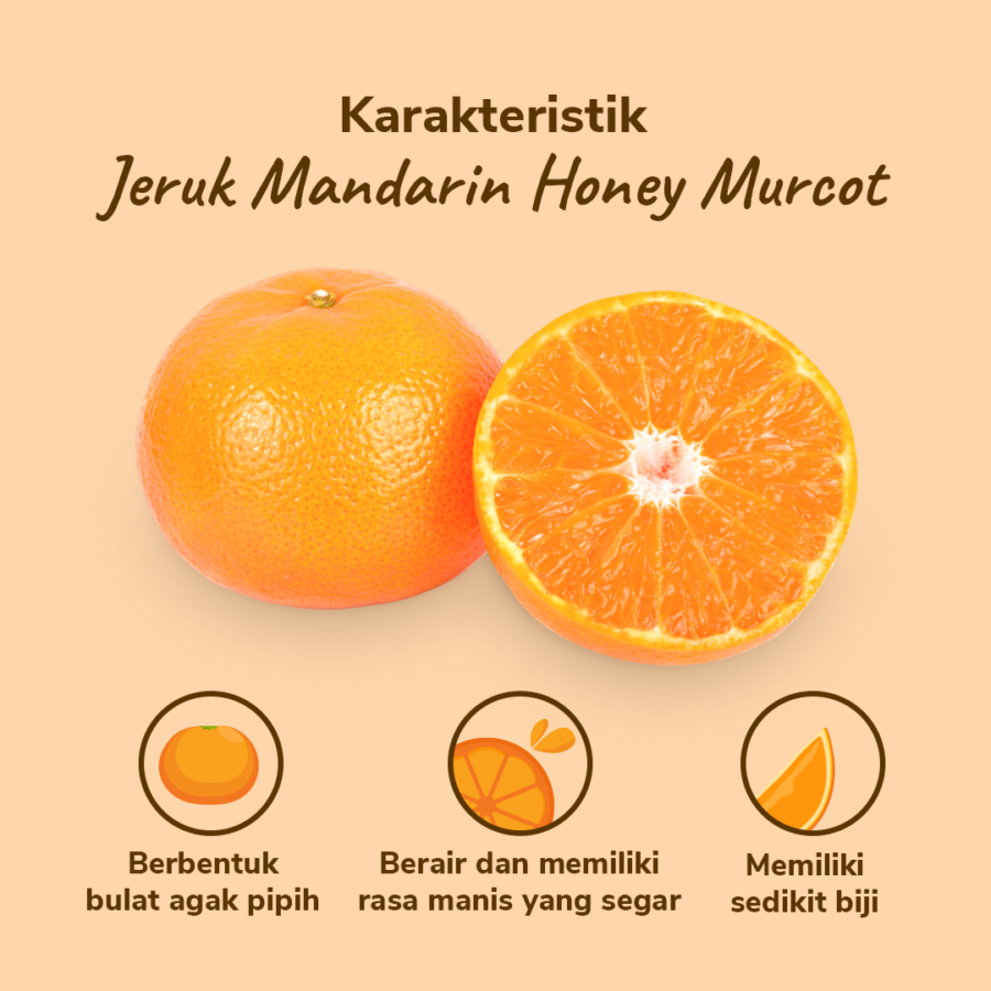 Jeruk Mandarin Honey Murcot Less Seed Astro Farm 5-8 pcs 800-900 gram