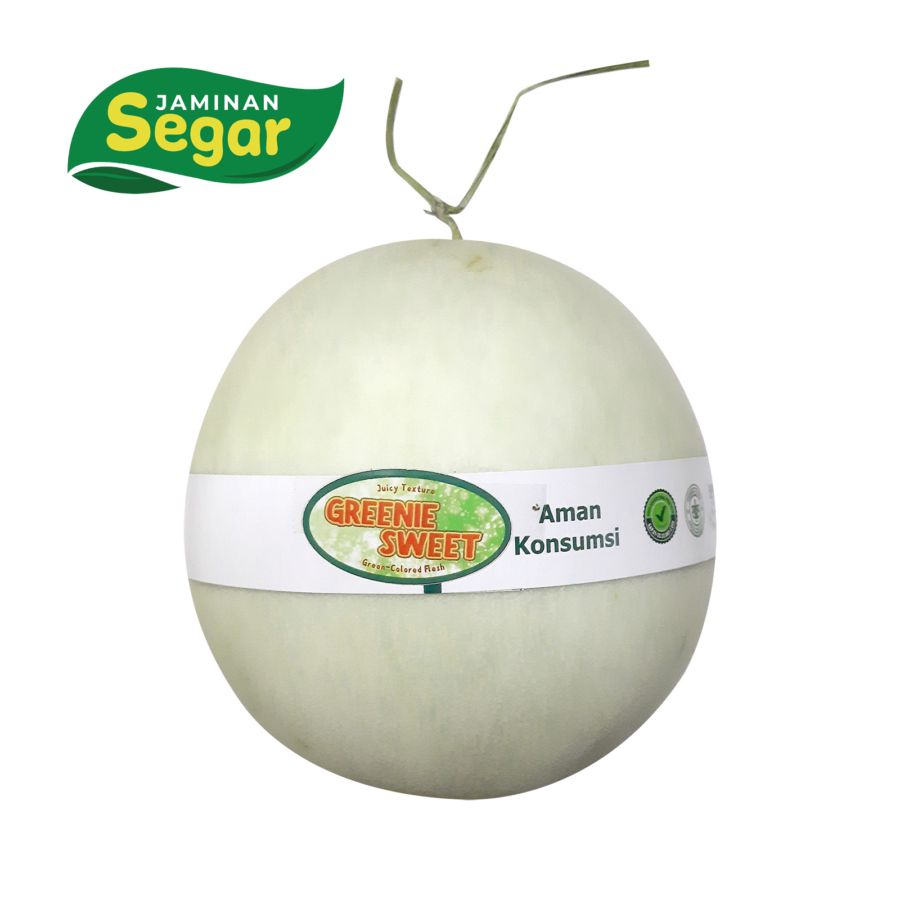 Fruit Melon Greeniesweet Size XXL - Astro Farm 1400gram