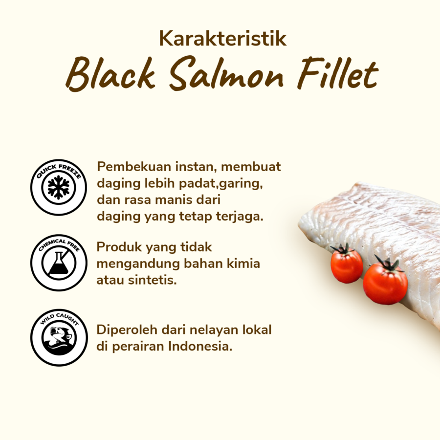 Black Salmon Fillet Astro Goods 250gram