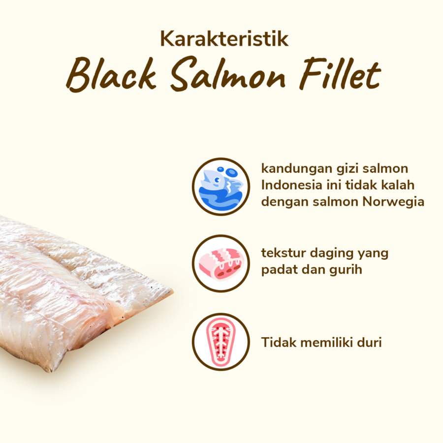 Black Salmon Fillet Astro Goods 250gram