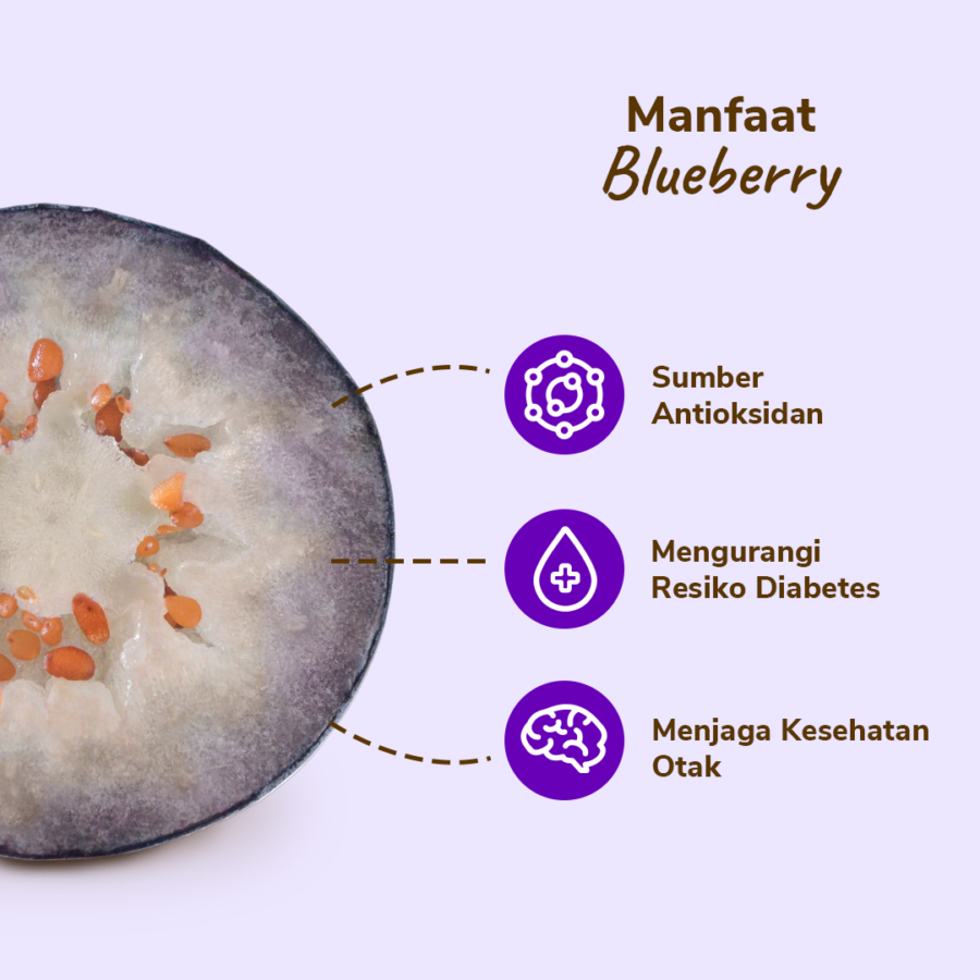 Blueberry Astro Farm 125gram