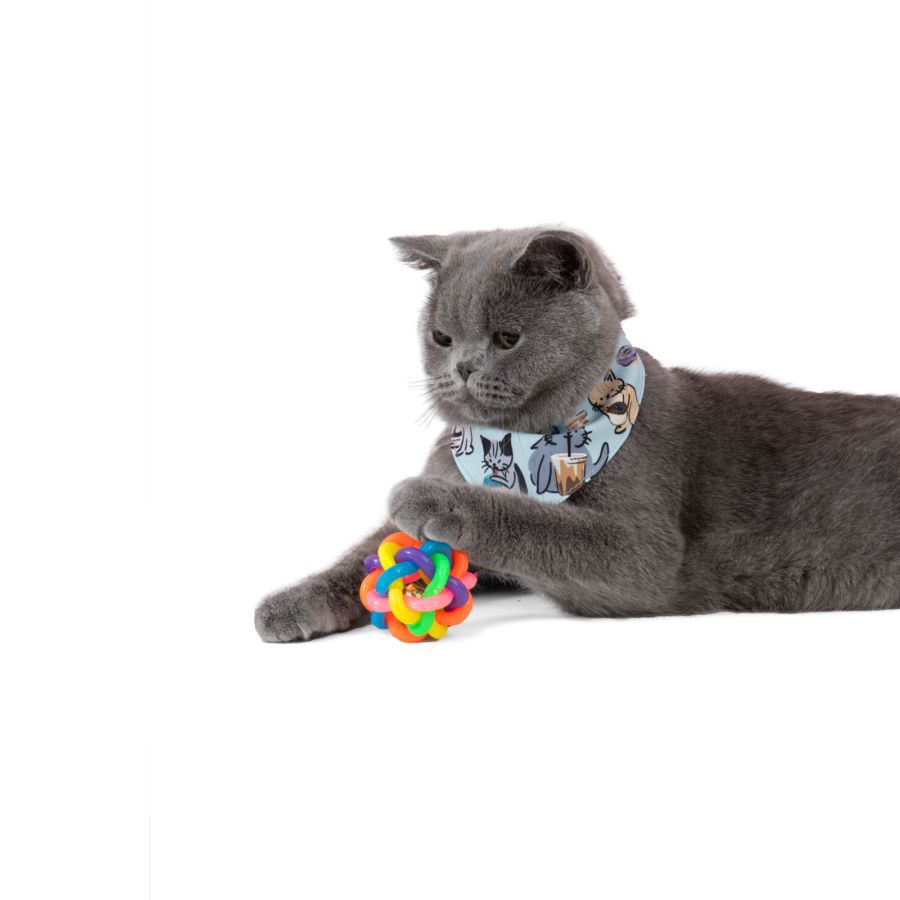 Bola Karet Mainan Kucing - Astro Basics/Animal Toys 1pcs