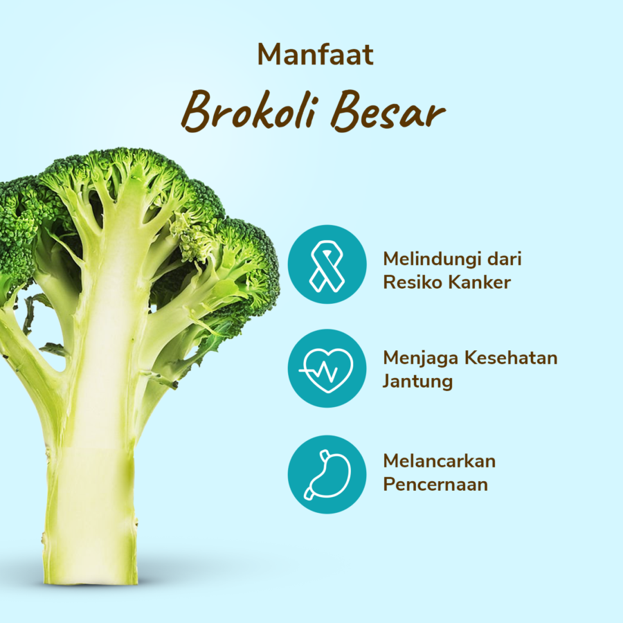 Brokoli Besar - Astro Farm 500gram