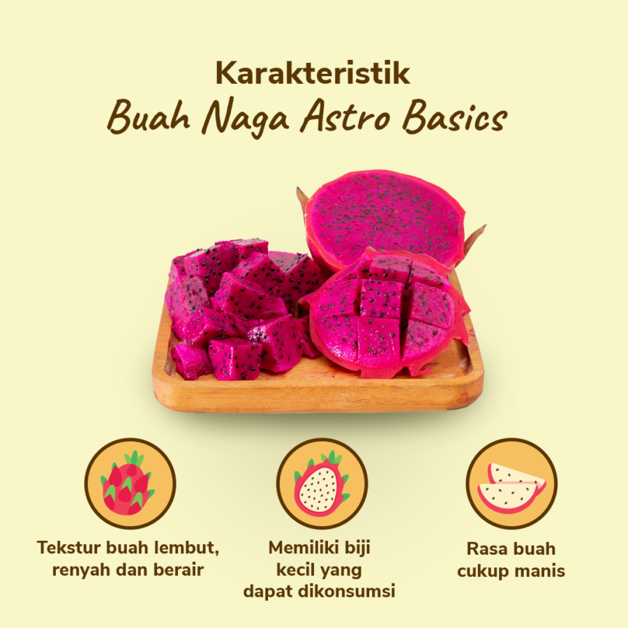 Buah Naga Merah Astro Farm 1 pcs 400-500 gram