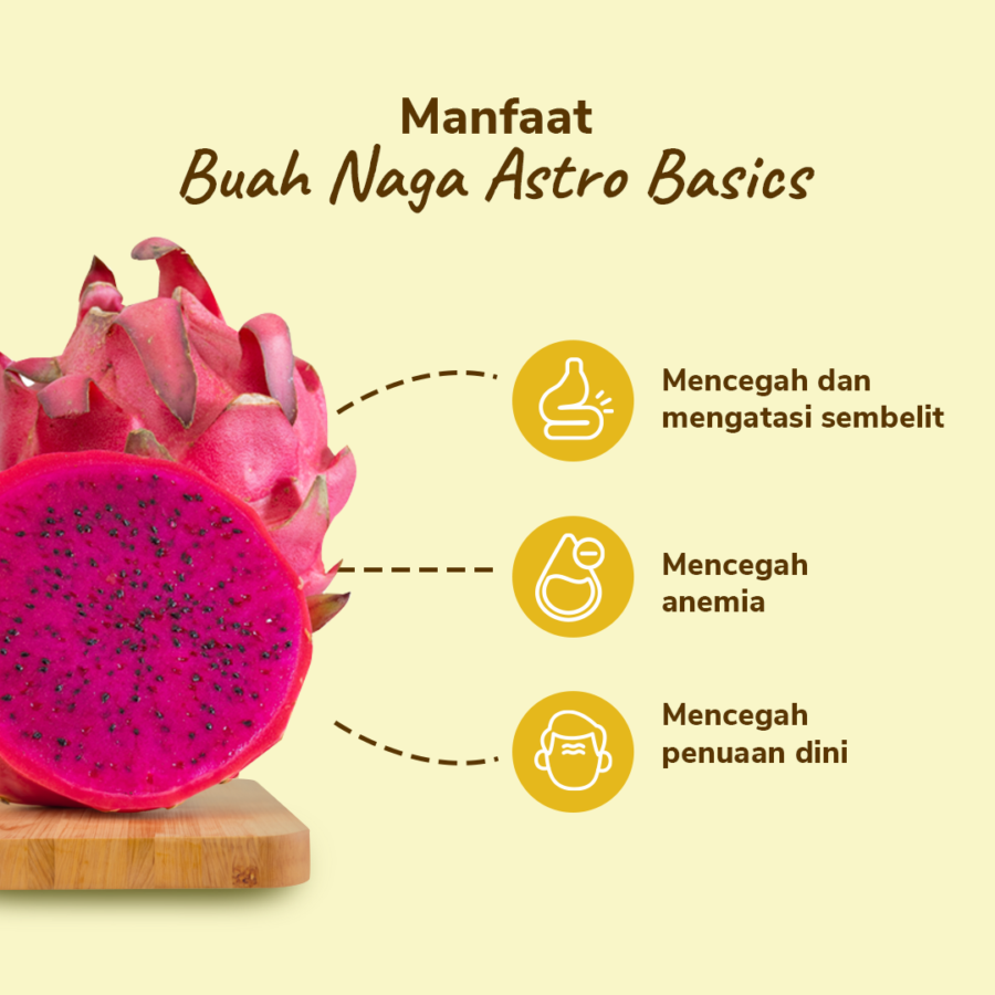 Buah Naga Merah Astro Farm 1 pcs 400-500 gram