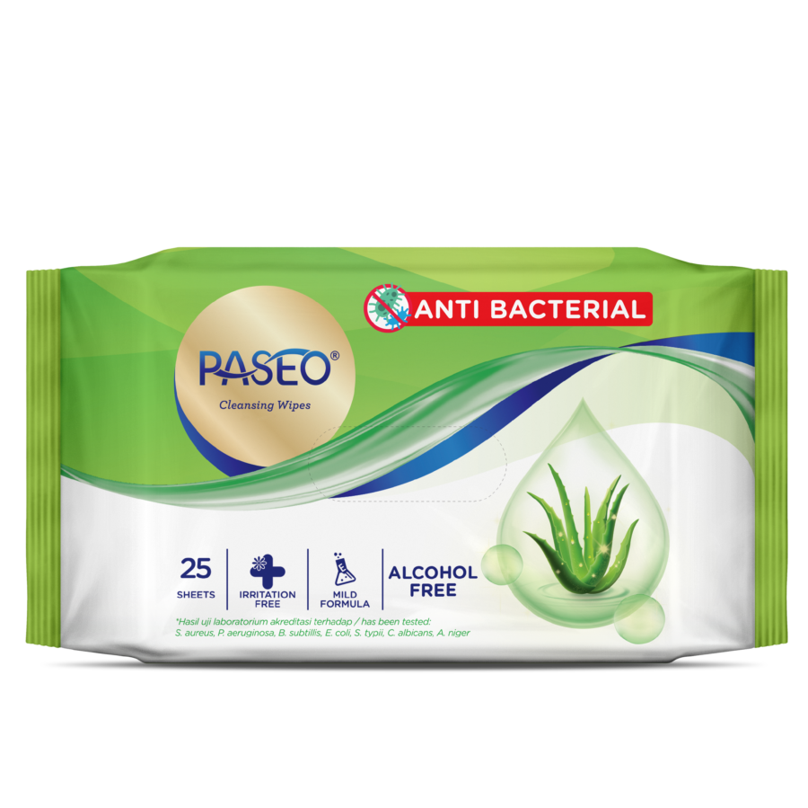 [Buy 1 Get 1] Paseo Wipes Anti Bacterial/Wet Tisue 25sheets