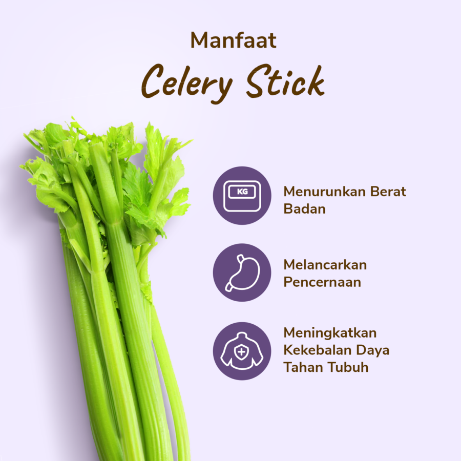 Celery Stick Astro Farm 750-900 gram 1pack
