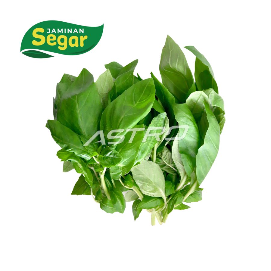 Daun Basil - Astro Farm 20gram