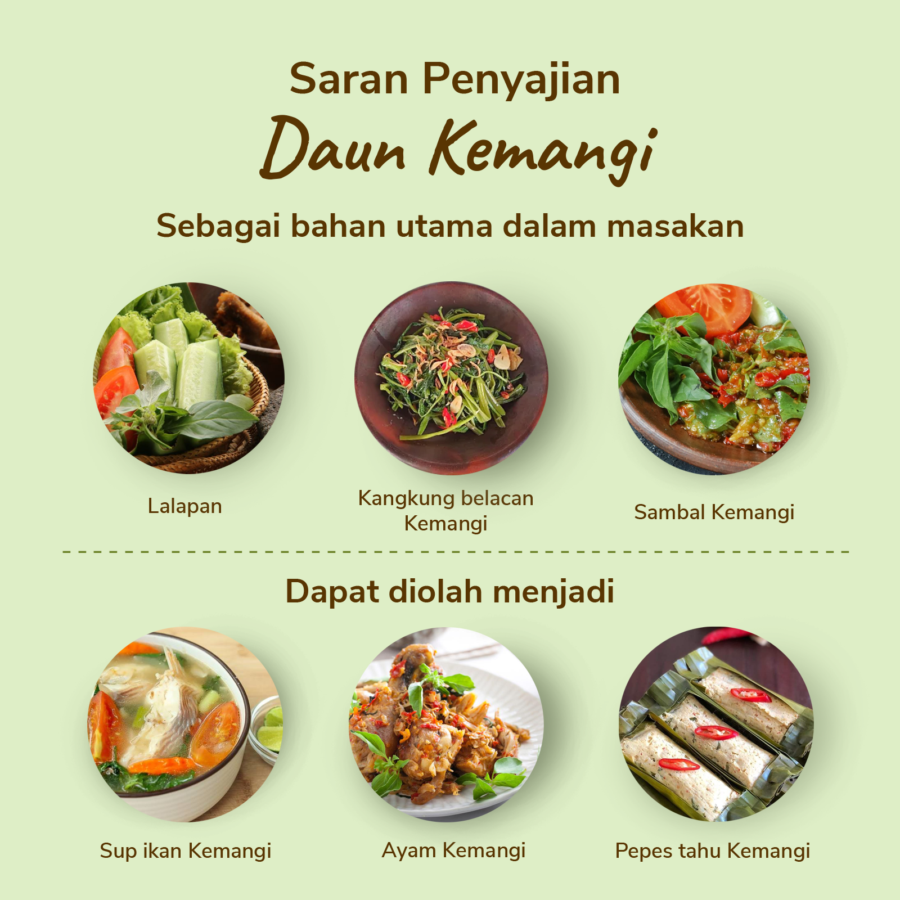 Daun Kemangi Astro Farm 150gram