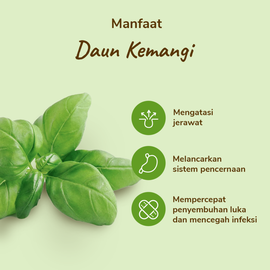 Daun Kemangi Astro Farm 150gram