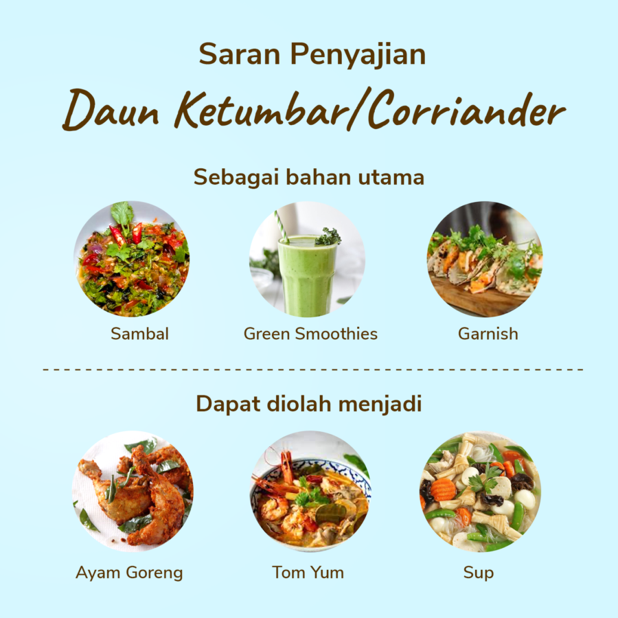 Daun Ketumbar Astro Farm 50gram
