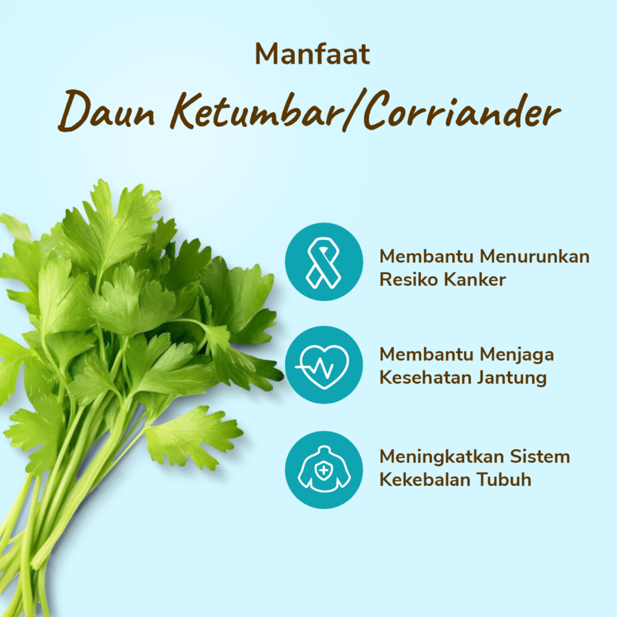 Daun Ketumbar Astro Farm 50gram