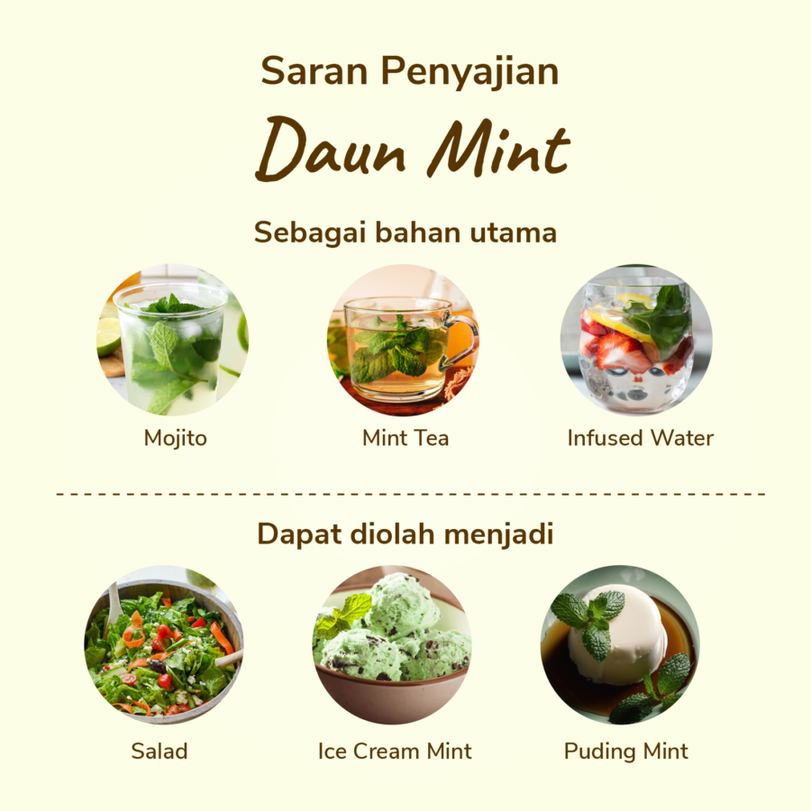 Daun Mint Astro Basic 50gram