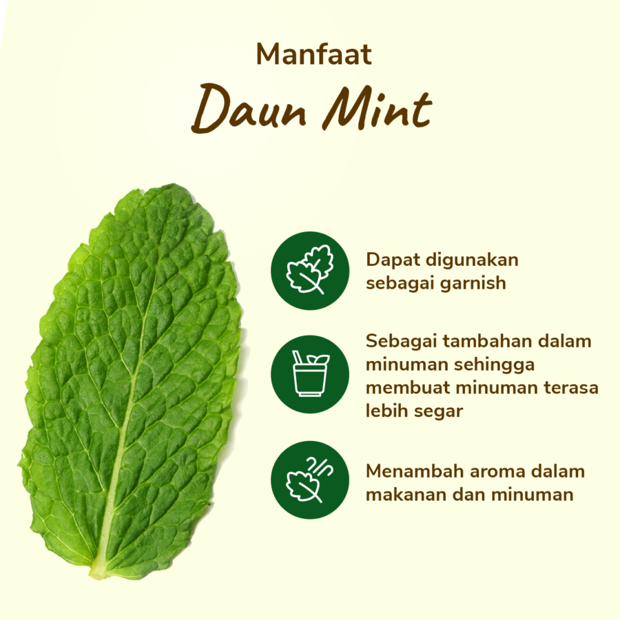 Daun Mint Astro Basic 50gram
