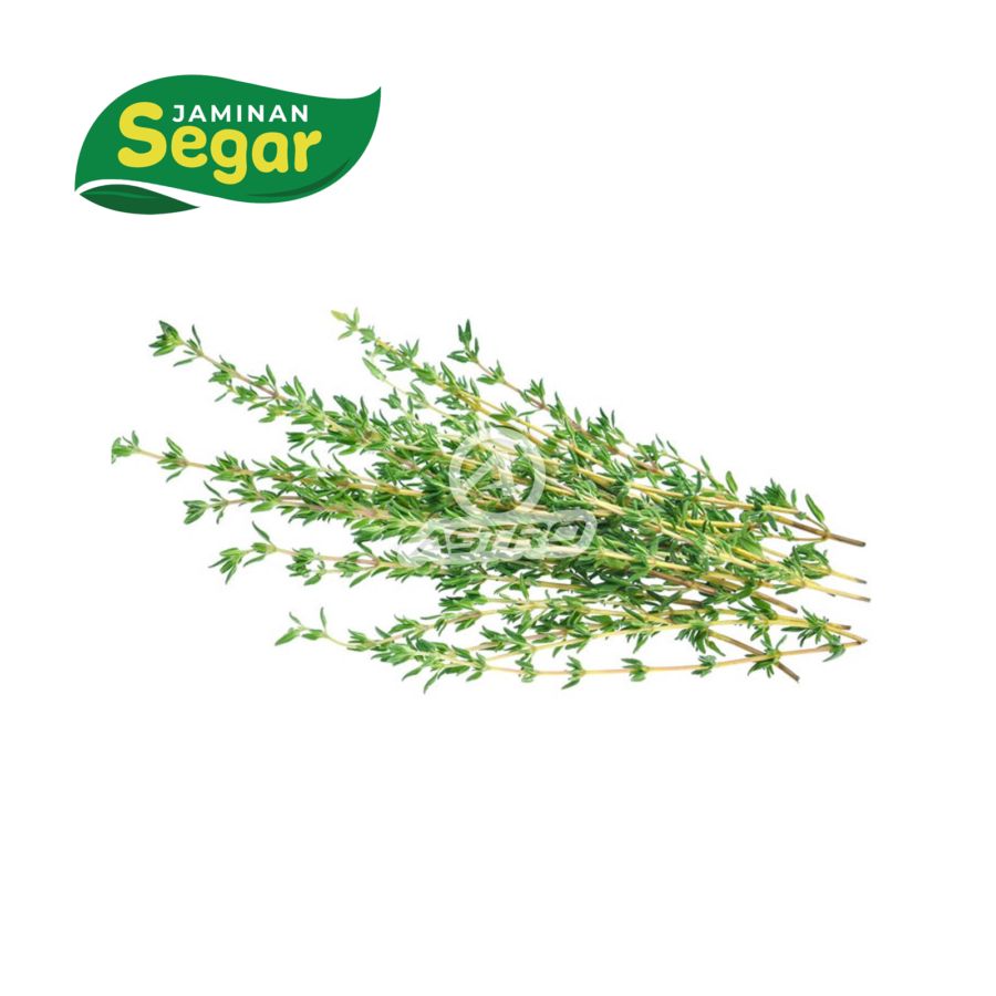 Daun Thyme - Astro Farm 50gram
