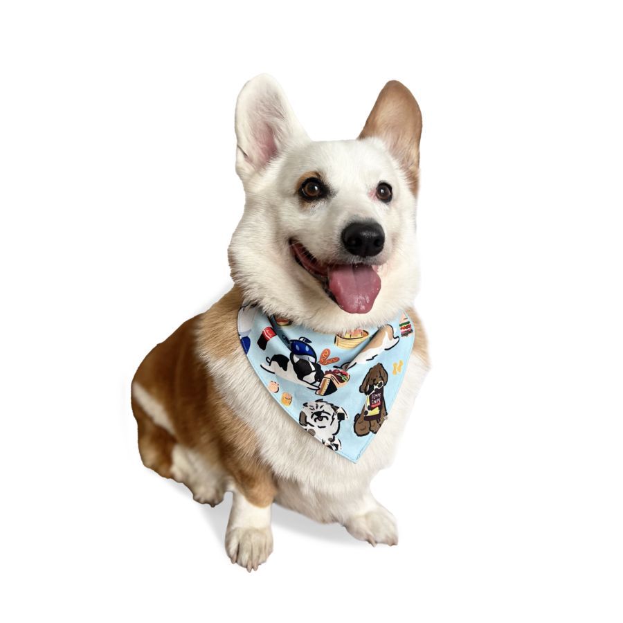 Dog Scarf Pet Universe - Astro Goods