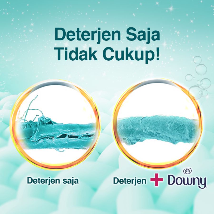 Downy Fresh Bouquet Pelembut & Pewangi Pakaian 600ml