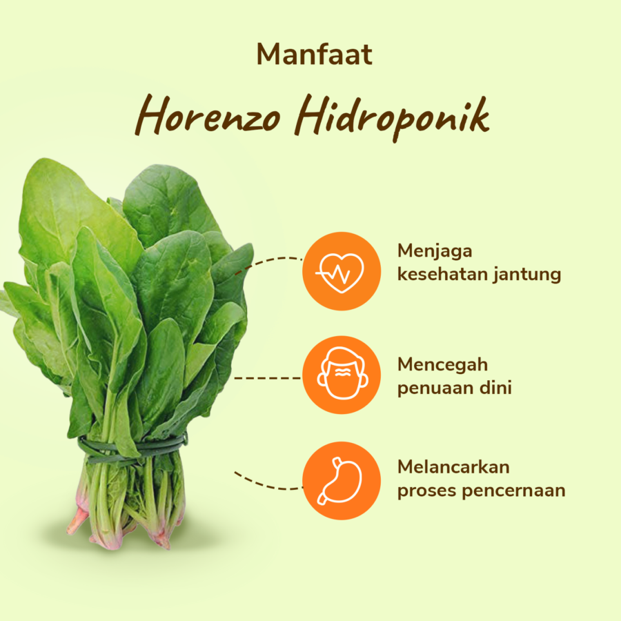 Horenzo Hidroponik Astro Farm 200gram